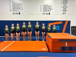 Aurora Turners gymnasts lined up in team leotards beside a vault in the gym