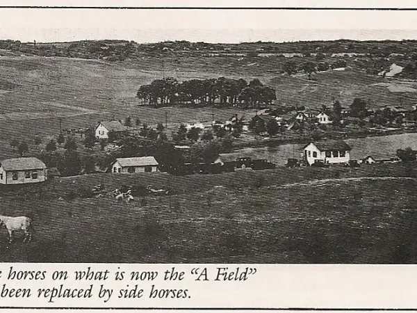 Horses grazing on the land that later became the camp's A-field